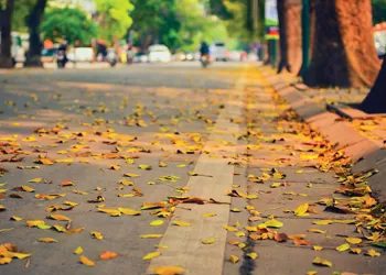 BÁN THÊM MÙA NHỚ