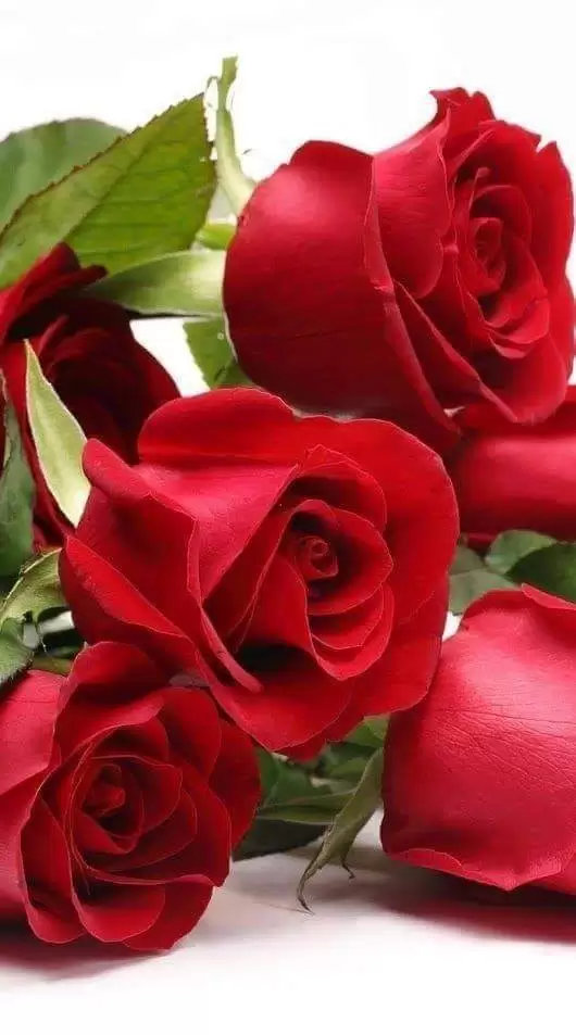 ĐÔI KHI MÌNH THẤY THƯƠNG MÌNH