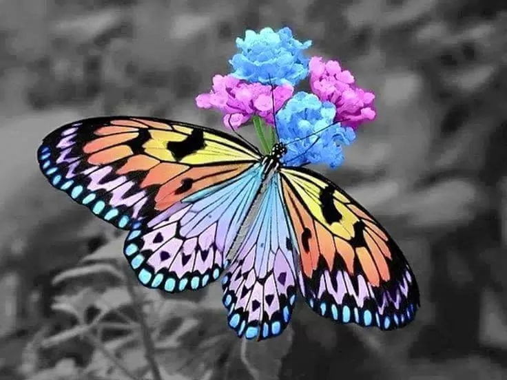 GẶP ĐÚNG NGƯỜI SAI THỜI ĐIỂM.