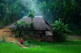 Khói Bếp Quê