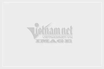 Ước Một Ngày …